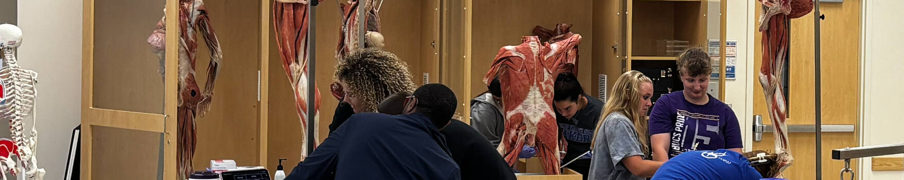 Students in Plastinate Lab